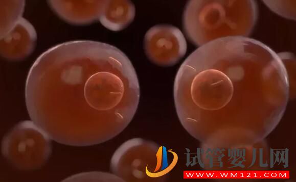 試管嬰兒胚胎解凍會影響質量嗎？(圖2)