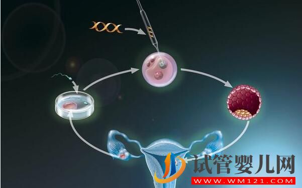 南通試管嬰兒適合那些人做？(圖3)