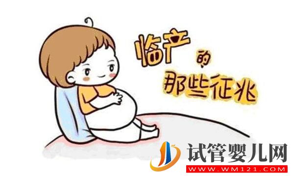 做完試管嬰兒后怎么判斷是否懷孕？(圖1)