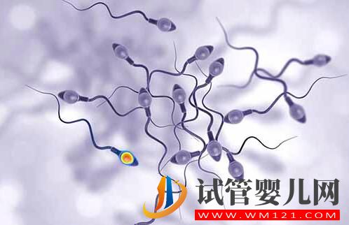 做完試管嬰兒后怎么判斷是否懷孕？(圖3)