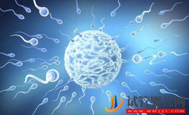 逆行射精可以做試管嬰兒嗎？(圖2)