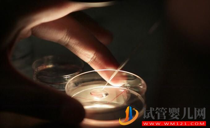 做試管嬰兒多少歲比較合適?(圖4) 做試管嬰兒多少歲比較合適?(圖4)