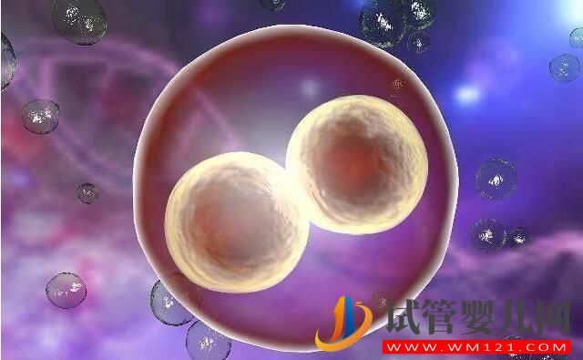 做試管嬰兒整個環節有哪些？(圖2)