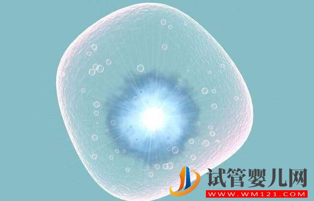 做試管嬰兒整個環節有哪些？(圖4)