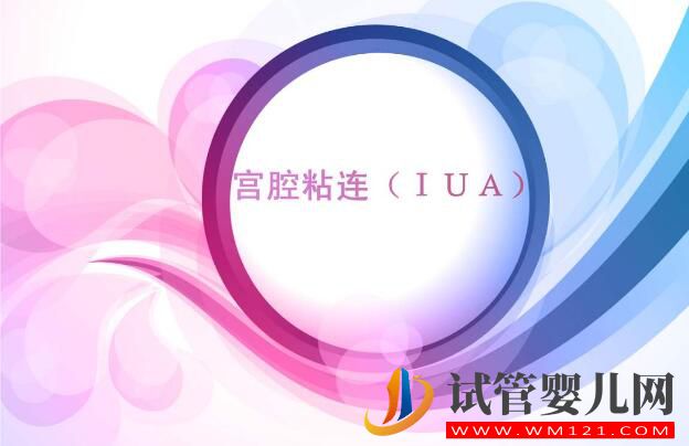 宮內粘連會影響到試管嬰兒嗎？(圖2)