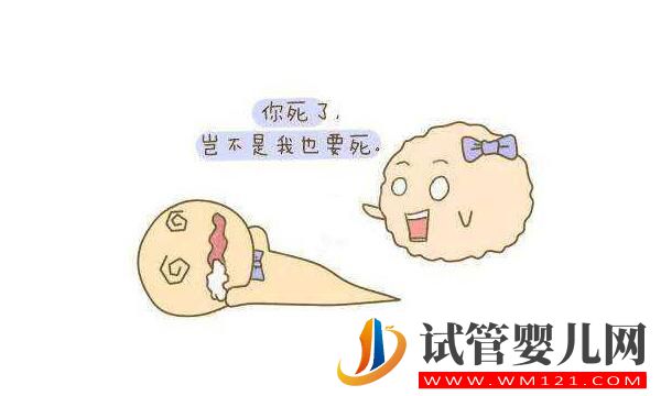 試管中精卵不結合該怎么解決？精卵結合后為什么不著床？(圖1)