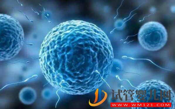 試管中精卵不結合該怎么解決？精卵結合后為什么不著床？(圖4)