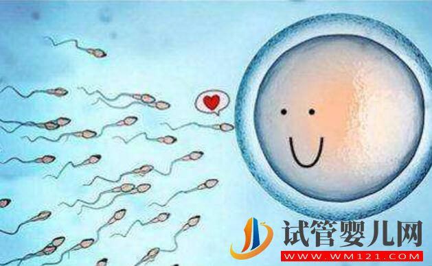 試管胚胎移植前哪些準備應該做好？(圖1)