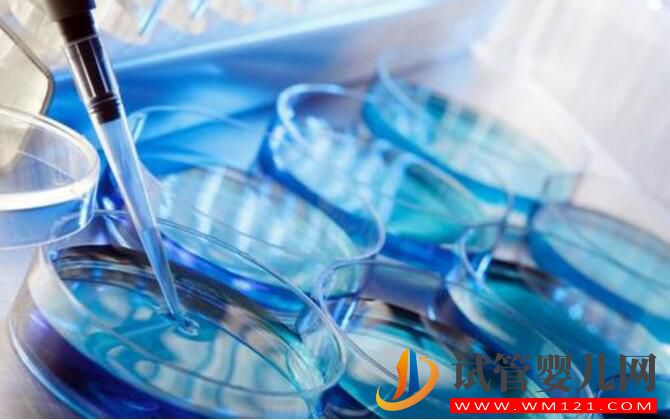 試管嬰兒IVF和人工授精IUI有什么區別和不同(圖5) 試管嬰兒IVF和人工授精IUI有什么區別和不同(圖5)