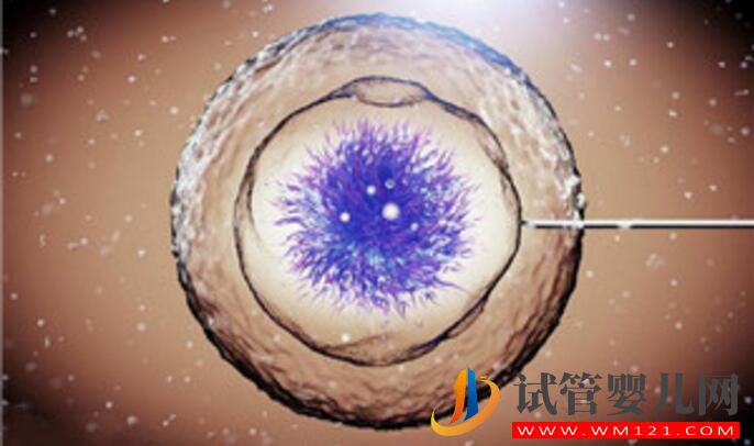 試管嬰兒會導致卵巢早衰嗎？卵巢早衰是由什么導致的？(圖5)