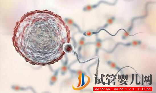 解答做試管嬰兒的人非常擔心的幾個問題(圖1) 解答做試管嬰兒的人非常擔心的幾個問題(圖1)