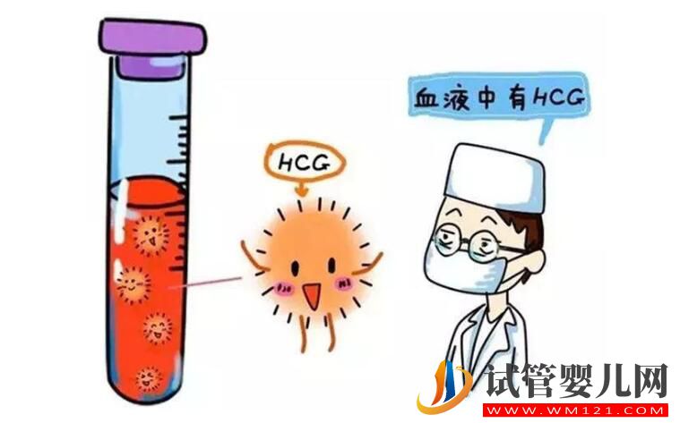 試管嬰兒移植后為什么會出血？胚胎移植后出血的原因有哪些(圖2)