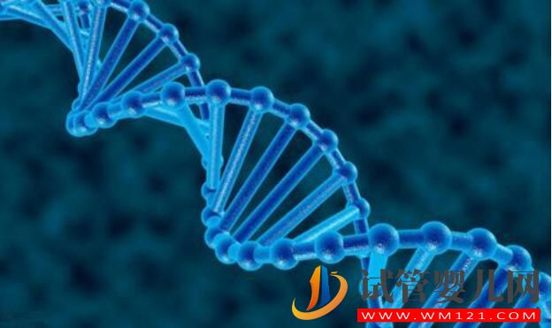 胚胎碎片率的變化對試管嬰兒意味著什么(圖5)