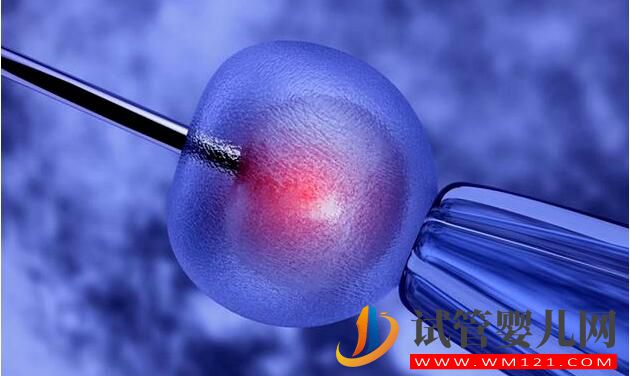 想做試管嬰兒請抓緊時間 別錯過黃金受孕期(圖2)