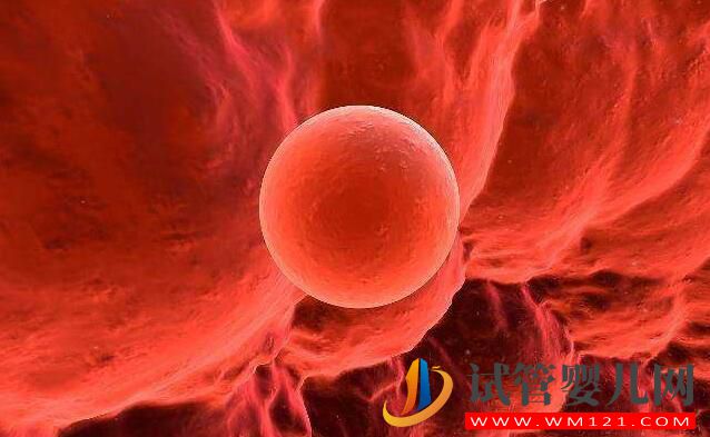 試管嬰兒囊胚移植幾天著床?胚胎寶寶著床的條件有哪些(圖1) 試管嬰兒囊胚移植幾天著床?胚胎寶寶著床的條件有哪些(圖1)