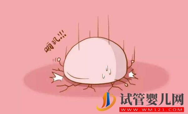 試管嬰兒囊胚移植幾天著床?胚胎寶寶著床的條件有哪些(圖3) 試管嬰兒囊胚移植幾天著床?胚胎寶寶著床的條件有哪些(圖3)