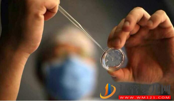 試管嬰兒應(yīng)不應(yīng)該做？什么情況下去做？要如何選擇(圖1)