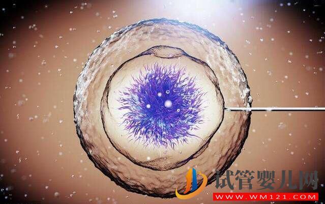 試管嬰兒胚胎移植的窗口期如何通過指標去判斷(圖1)