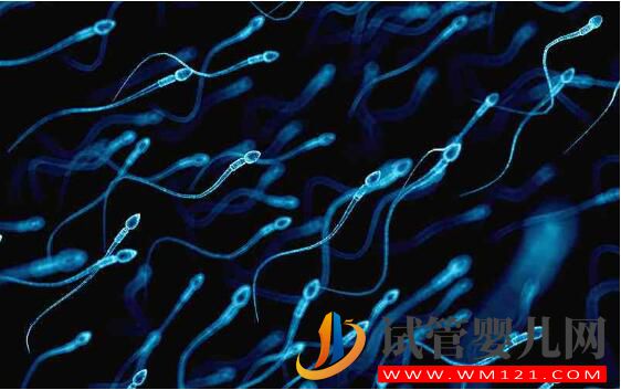 試管嬰兒減胎術在哪些情況下使用 要注意哪些(圖4)