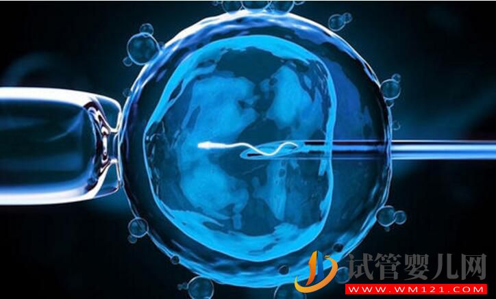俄羅斯試管嬰兒攻略 看看有哪些你不知道的(圖1)