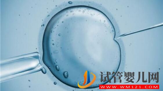 俄羅斯試管嬰兒攻略 看看有哪些你不知道的(圖4)