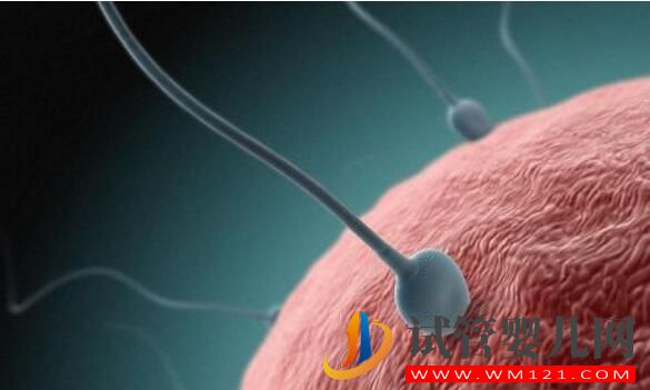 不孕不育率這么高 做試管嬰兒能幫助不孕人群嗎(圖2)