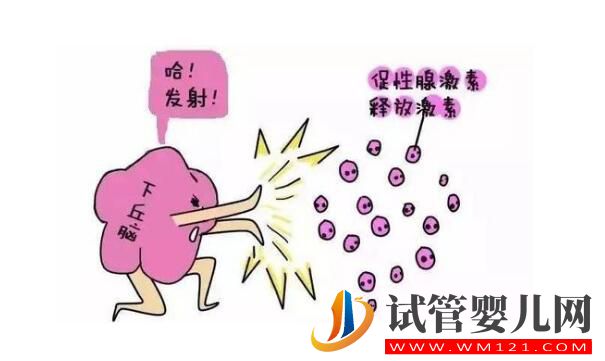 試管嬰兒有多少個方案？如何選擇促排卵方案？(圖1)