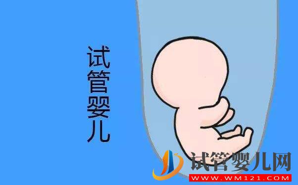 試管嬰兒是在哪里長大的？是在試管里長大的嗎？(圖1)