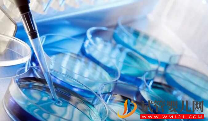 做試管嬰兒如何輕松度過移植后的驗孕等待期？(圖1)