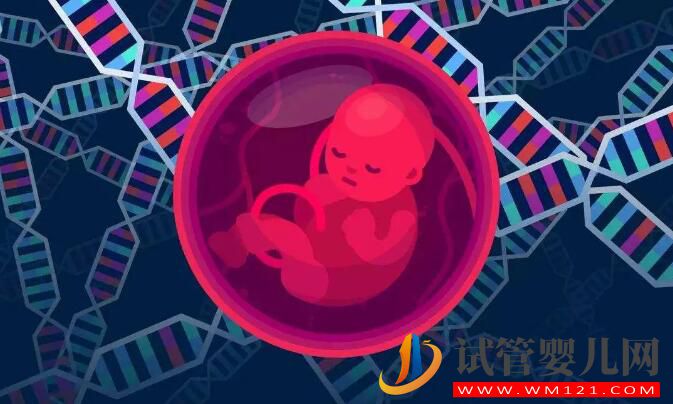 試管嬰兒胚胎移植一個還是兩個好(圖2)