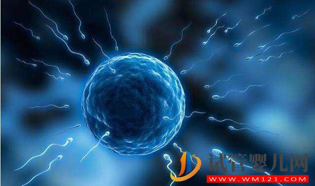 試管嬰兒怎么取優質的精子？做試管前如何提高精子質量(圖1)