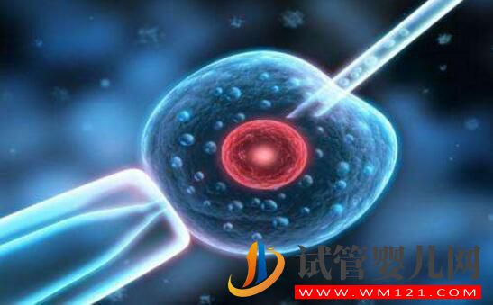 試管嬰兒能不能“定制”雙胞胎？和普通嬰兒有區(qū)別沒？(圖3)