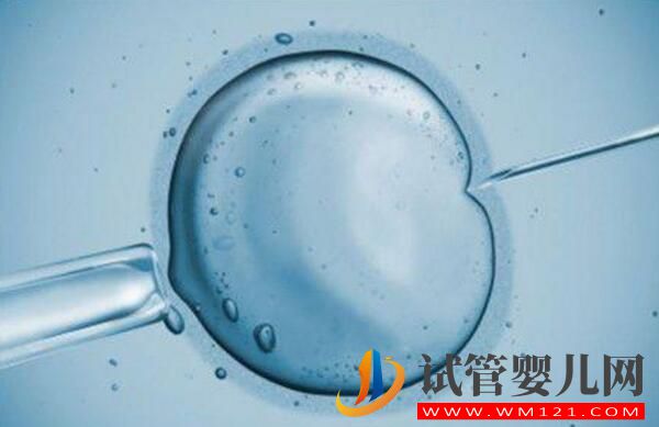 試管嬰兒對男方精子有什么要求，快來記下吧(圖1)