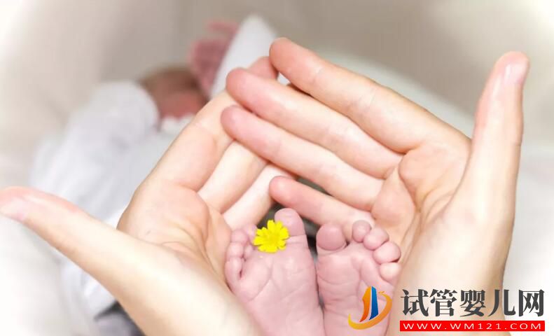 高齡備孕試管嬰兒如何提高成功率 需要做哪些調(diào)理工作(圖3) 高齡備孕試管嬰兒如何提高成功率 需要做哪些調(diào)理工作(圖3)