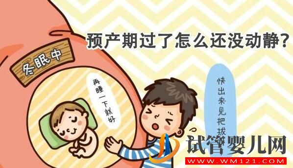 試管嬰兒妊娠如何推算預產期 正常妊娠是怎么算的(圖2)