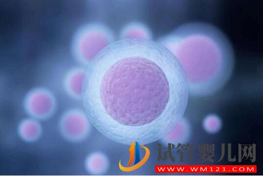 安順做試管嬰兒的流程有哪些 手術費用包括哪些方面(圖3)