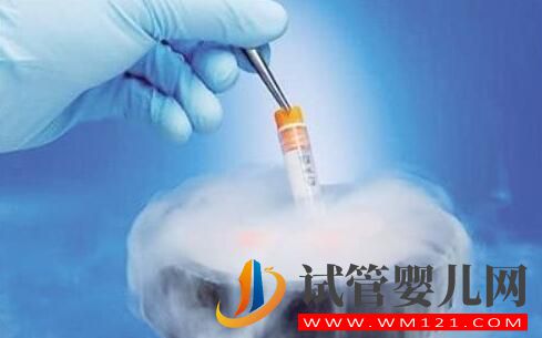 冷凍胚胎對于試管成功率是否有影響？適合中藥調理的準寶媽(圖1)