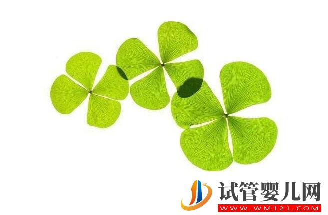 胚胎移植過后避免流產有什么需要注意的？會出現哪些不適癥狀？(圖2)