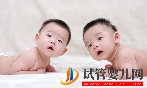 生龍鳳胎機構具有什么特點比較值得信任？(圖1)