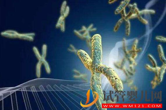 男性染色體異常有沒有什么辦法？能否進行人工授精？(圖1)