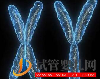 男性染色體異常有沒有什么辦法？能否進行人工授精？(圖2)