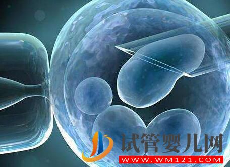 高齡女性做試管應該選擇第幾代技術?(圖2) 高齡女性做試管應該選擇第幾代技術?(圖2)