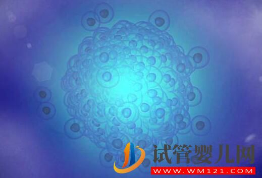 適合做試管嬰兒的人群有哪些？試管成功率受什么影響？(圖2)