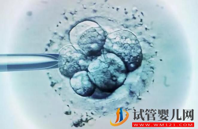 適合做試管嬰兒的人群有哪些？試管成功率受什么影響？(圖4)