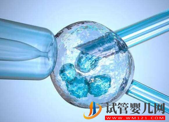 卵泡過少對于試管成功率有影響嗎？有什么方法提高卵子質(zhì)量？(圖3)