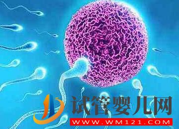 為什么高齡女性要選擇做試管？高齡試管會有哪些風險呢？(圖4)