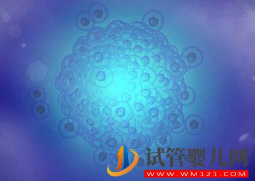 為什么高齡女性要選擇做試管？高齡試管會有哪些風險呢？(圖5)