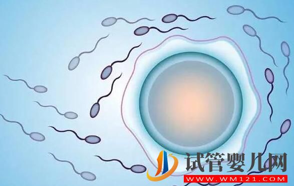 做試管為什么要做檢查？都有哪些檢查項目？(圖1)
