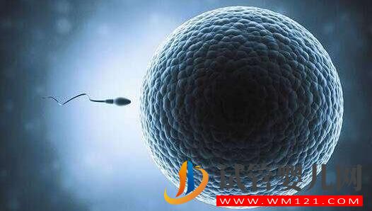 做試管為什么要做檢查？都有哪些檢查項目？(圖2)