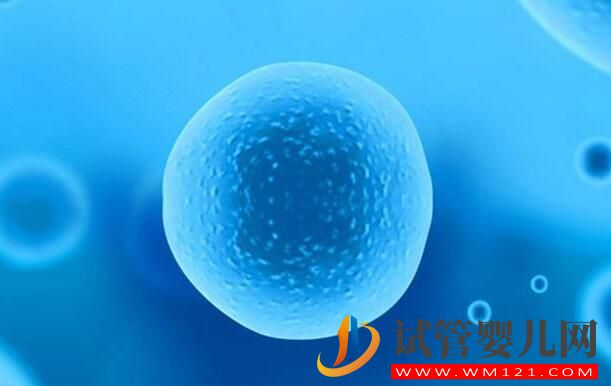 卵子質量對于做試管有什么意義？如何提高成功率？(圖2)